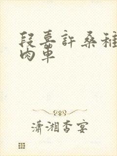 段嘉许桑稚浴室肉车