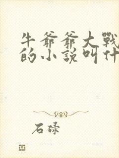 牛爷爷大战小丽的小说叫什么