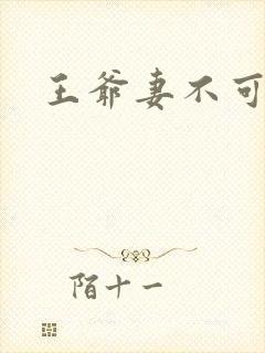 王爷妻不可欺