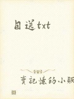 目送txt