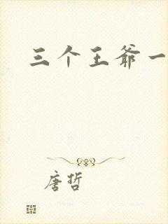 三个王爷一个妃
