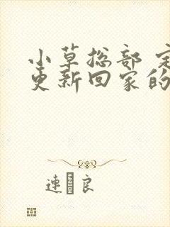 小草总部 定期更新回家的路