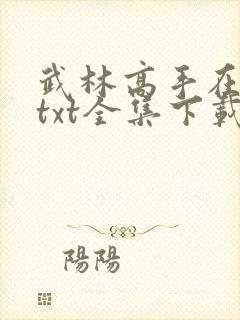 武林高手在异世txt全集下载