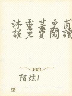 沐灵芸皇甫霆小说免费阅读