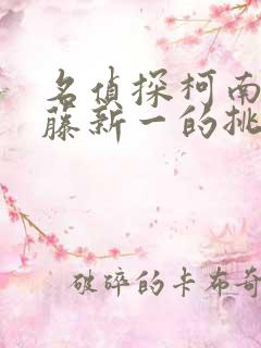 名侦探柯南给工藤新一的挑战书