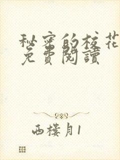 秘密的校花小说免费阅读