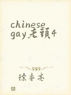 chinesegay老头4