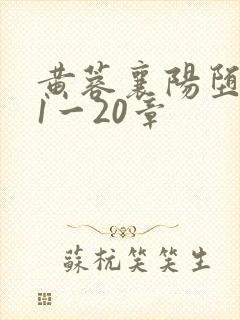 黄蓉襄阳堕落史1一20章