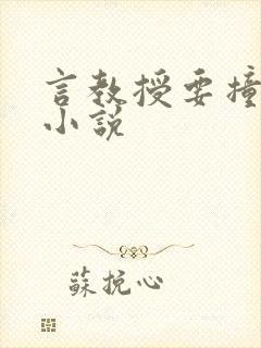 言教授要撞坏了小说