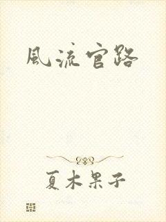 风流官路