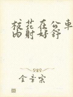 校花在公车上被内射好舒