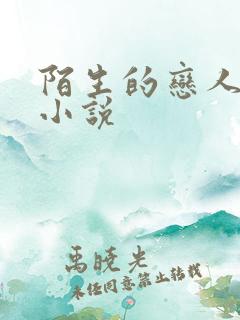 陌生的恋人原著小说