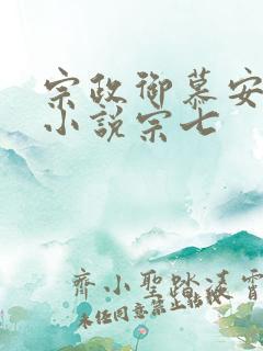 宗政御慕安安的小说宗七