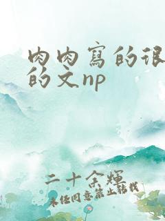 肉肉写的很细致的文np