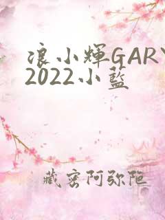 浪小辉GARY2022小蓝