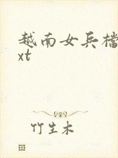 越南女兵档案txt