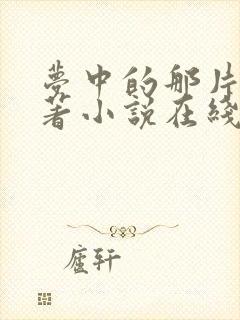 梦中的那片海原著小说在线阅读