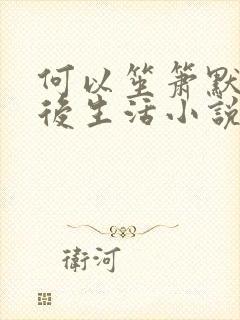 何以笙箫默之婚后生活小说