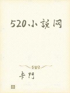 520小说网