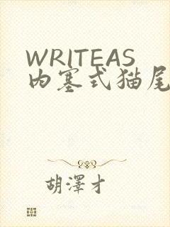 WRITEAS内塞式猫尾