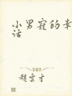 小男宠的幸福生活