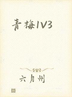 青梅1V3
