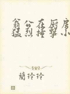 翁公在厨房和我猛烈撞击小说