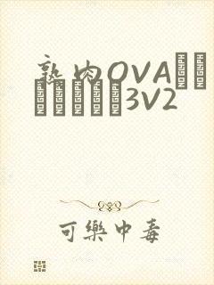 熟肉OVAちゃんはしたい3V2