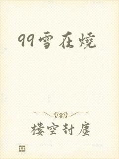 99雪在烧