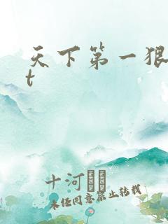 天下第一狠txt