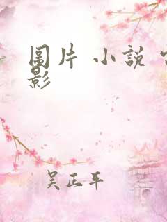 图片 小说 电影