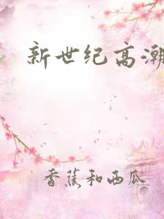 新世纪高潮战队