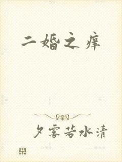 二婚之痒