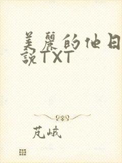 美丽的他日剧小说TXT