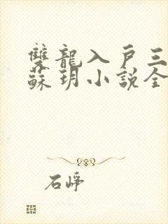 双龙入户三人行苏玥小说全文阅读