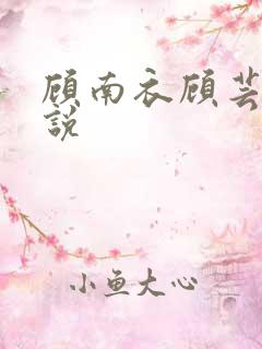 顾南衣顾芸沐小说