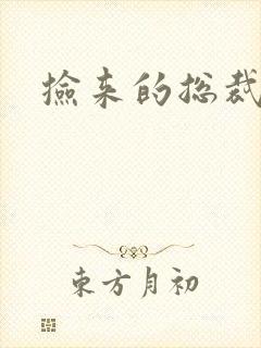 捡来的总裁儿子