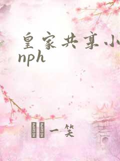 皇家共享小公主nph