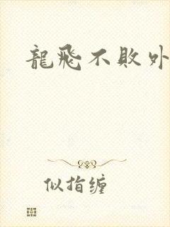 龙飞不败外传