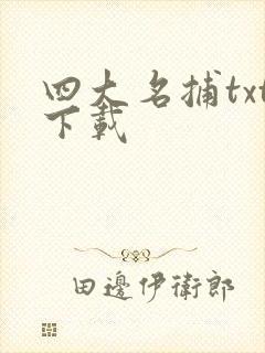 四大名捕txt下载