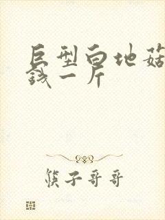 巨型白地菇多少钱一斤