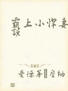 霸上小悍妻 小说