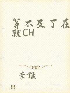 等不及了在车里就CH