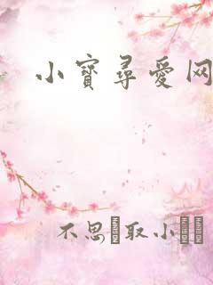 小宝寻爱网址