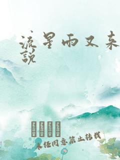 流星雨又来临小说