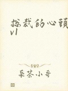 总裁的心头宝1v1