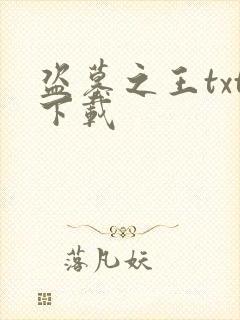 盗墓之王txt下载