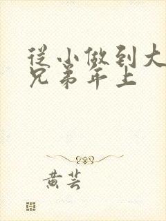 从小做到大骨科兄弟年上