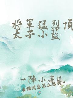 将军猛烈顶弄h太子小蓝