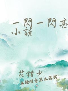 一闪一闪亮晶晶小说